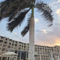 фото из отзыва ID 2717665