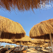 фото из отзыва ID 2717665