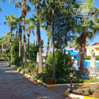 фото из отзыва ID 2717681