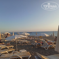 фото из отзыва ID 2717683