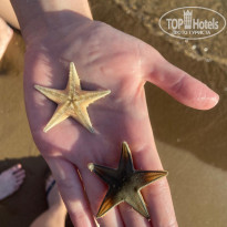 фото из отзыва ID 2717769