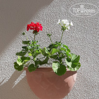 фото из отзыва ID 2717770