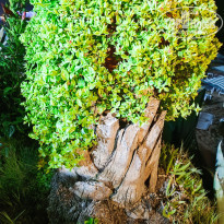 фото из отзыва ID 2717773