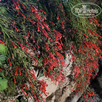 фото из отзыва ID 2717773