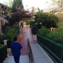 фото из отзыва ID 2717815