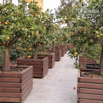 фото из отзыва ID 2717889