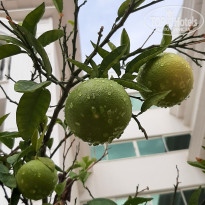 фото из отзыва ID 2717895