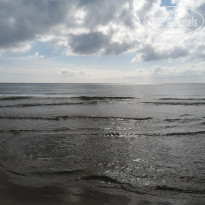 фото из отзыва ID 2717895