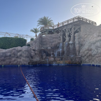 фото из отзыва ID 2717898