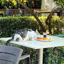 фото из отзыва ID 2717921