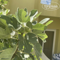 фото из отзыва ID 2717955