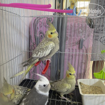 фото из отзыва ID 2717955