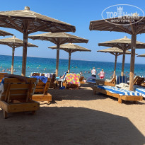 фото из отзыва ID 2717955