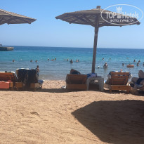 фото из отзыва ID 2717955