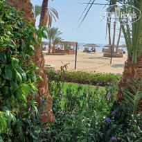 фото из отзыва ID 2717961