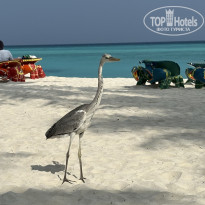 фото из отзыва ID 2717989