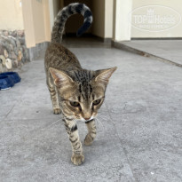 фото из отзыва ID 2717990