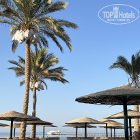 фото из отзыва ID 2717990