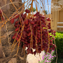 фото из отзыва ID 2717990