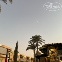 фото из отзыва ID 2717990