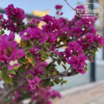 фото из отзыва ID 2717990