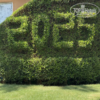 фото из отзыва ID 2717990