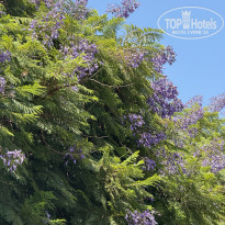 фото из отзыва ID 2717990