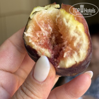 фото из отзыва ID 2717990