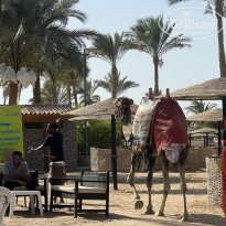 фото из отзыва ID 2717990