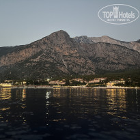 фото из отзыва ID 2718056