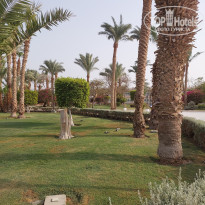 фото из отзыва ID 2718077