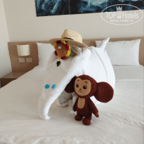 фото из отзыва ID 2718079