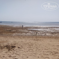 фото из отзыва ID 2718079