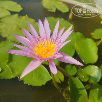 фото из отзыва ID 2718082