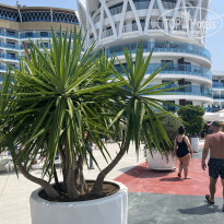 фото из отзыва ID 2718092