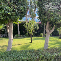 фото из отзыва ID 2718092