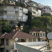 фото из отзыва ID 2718139