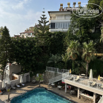 фото из отзыва ID 2718139