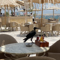 фото из отзыва ID 2716262