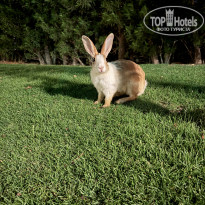 фото из отзыва ID 2718151