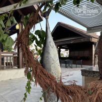 фото из отзыва ID 2718152