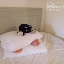 фото из отзыва ID 2718156