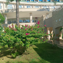 фото из отзыва ID 2718174