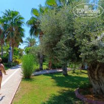 фото из отзыва ID 2718174