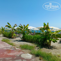 фото из отзыва ID 2718174