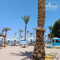 фото из отзыва ID 2710216