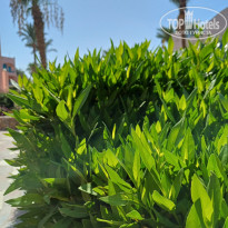 фото из отзыва ID 2710216