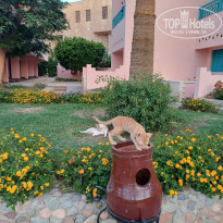 фото из отзыва ID 2710216