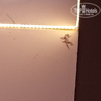 фото из отзыва ID 2710216