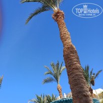 фото из отзыва ID 2710216